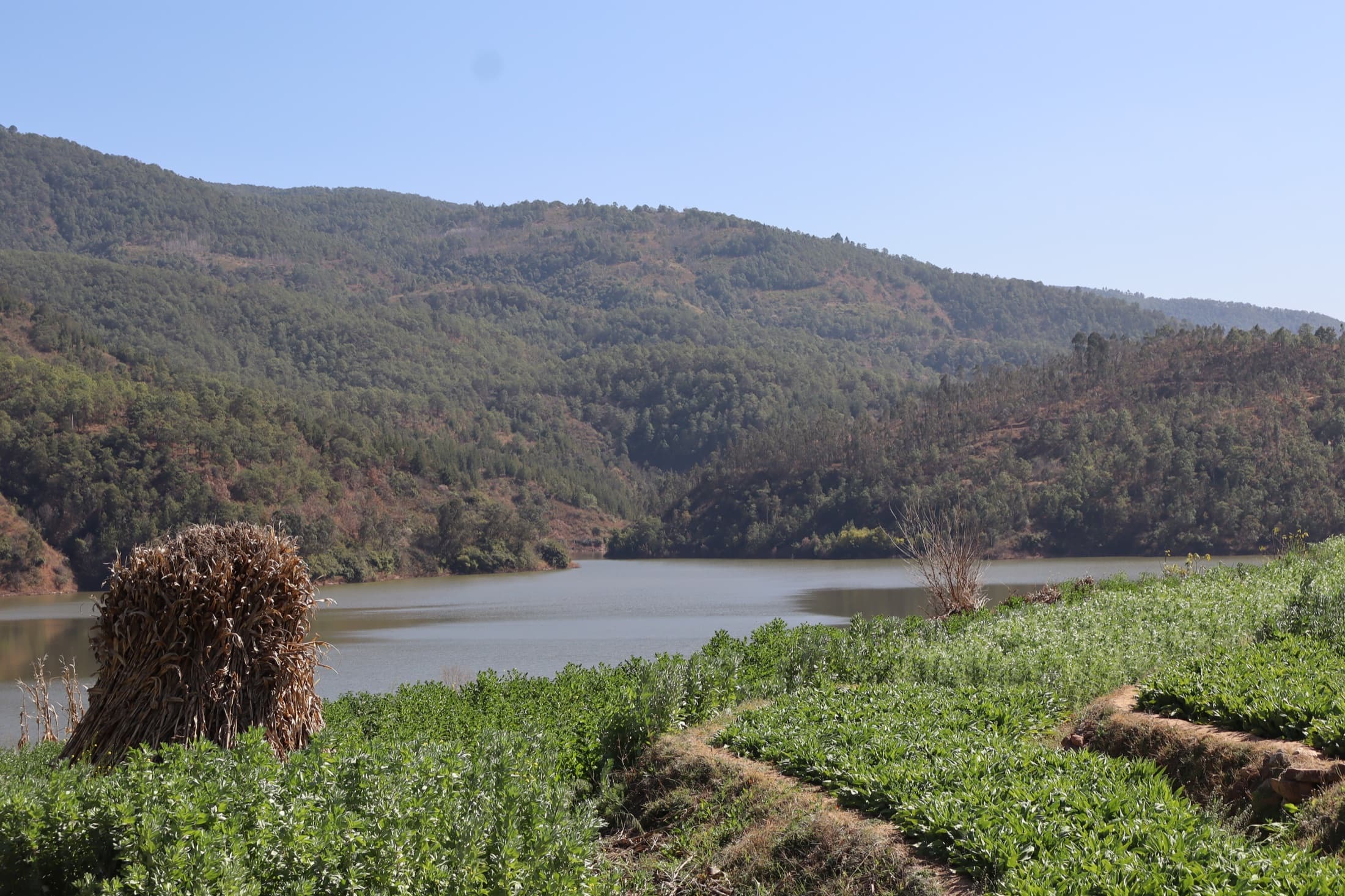 湖岸与远山之间的田野