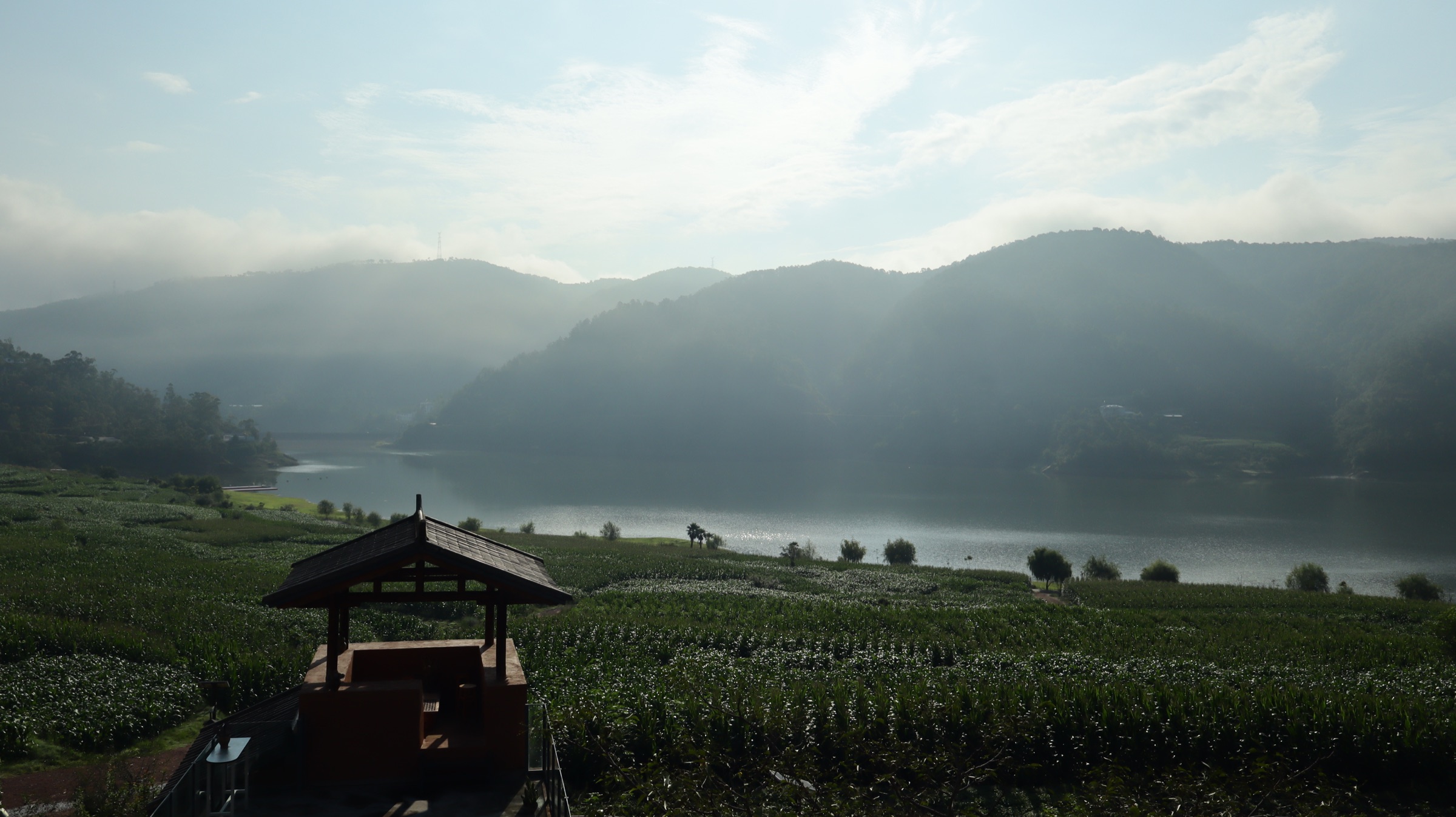 群山与湖泊之间的田野景观